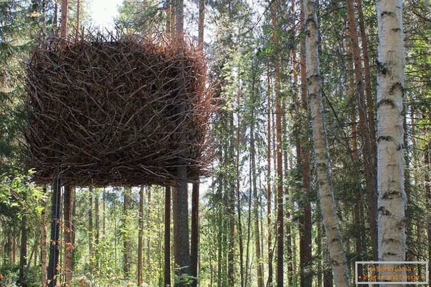 Будинок з пташиним гніздом (Швеція)