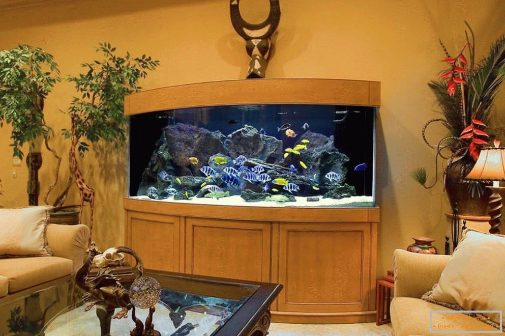 гарний акваріум в гостиной