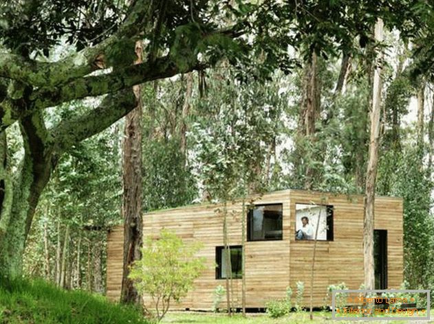 Еквадорський маленький будиночок в красивому лісі