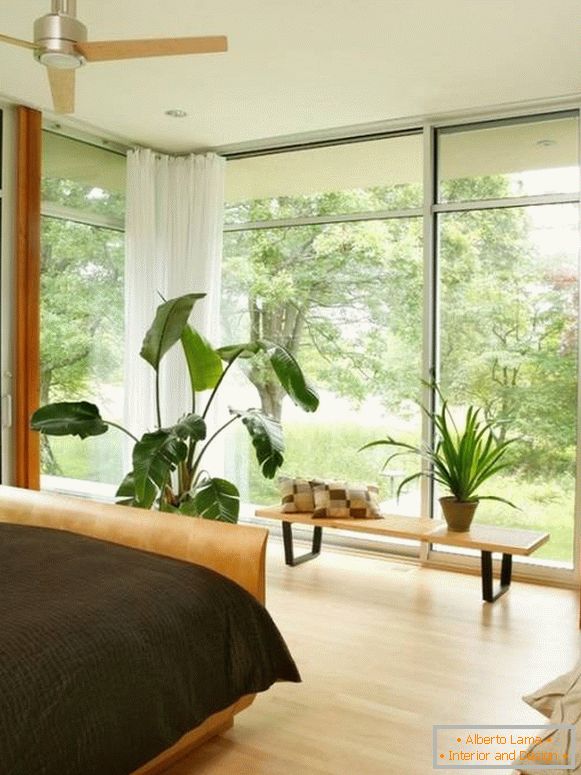 Великі вікна і кімнатні рослини в спальні