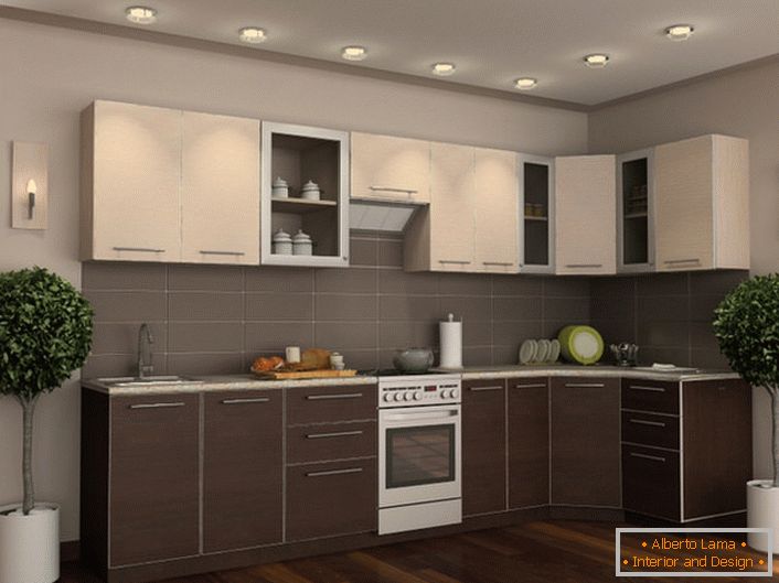 Кухонний гарнітур венге в поєднанні з правильно підібраними декоративними елементами робить приміщення елегантним і стильним.
