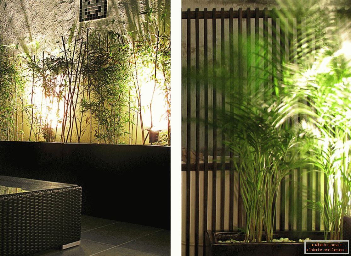 Рослини в інтер'єрі вузької квартири в Гонконзі