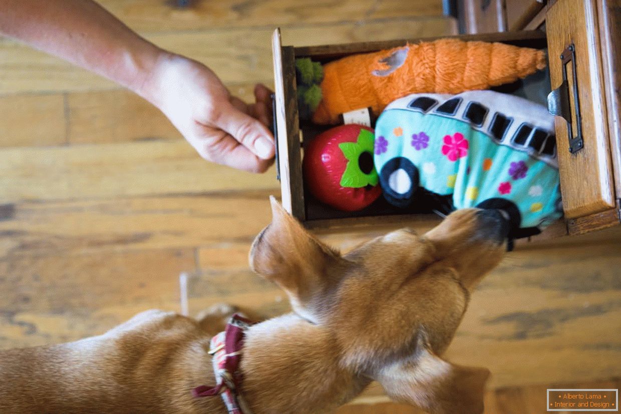 Ящик з іграшками для собаки