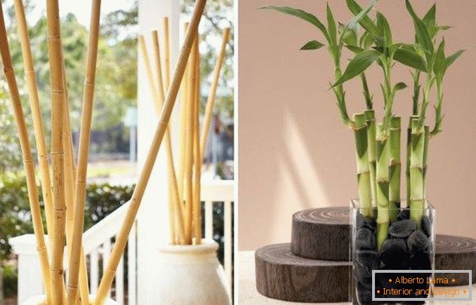 Бамбук в якості декору