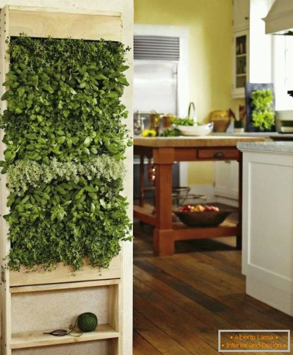 Зелені рослини на кухні