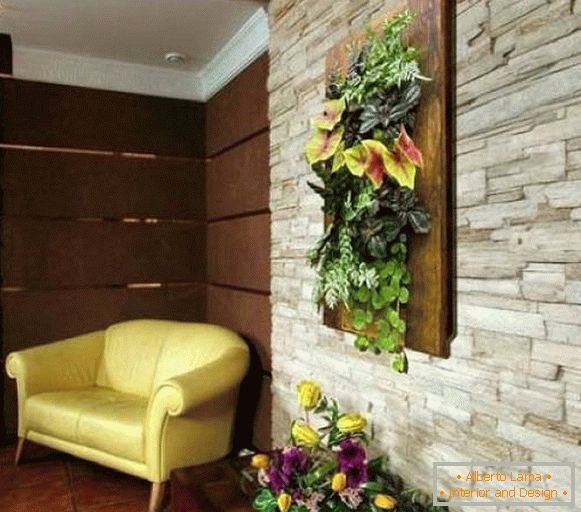 Кімнатні рослини на стінах