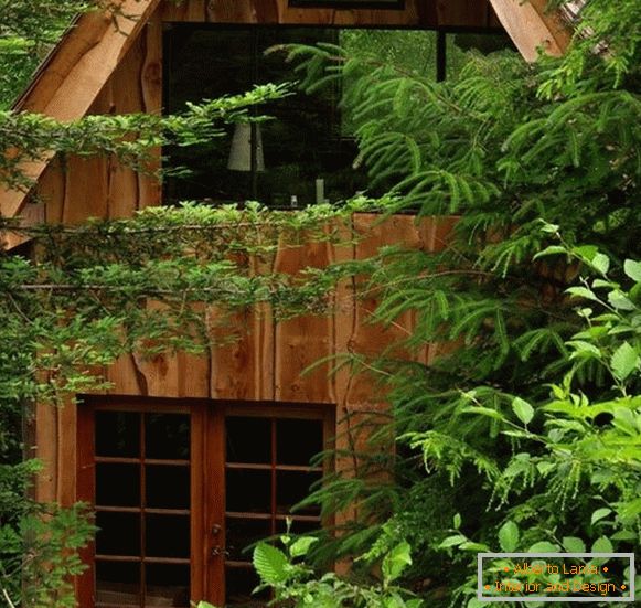 Маленький лісовий будиночок (фото), США