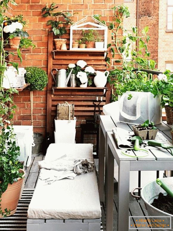 Балкон з кімнатними рослинами