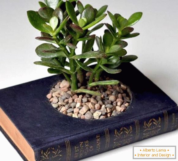 Горщик для рослин з книги