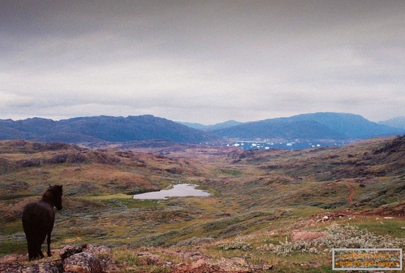 Плёночные пейзажи Гренландии Кармен Марцена