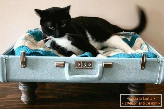 Місце для кішки з валізи