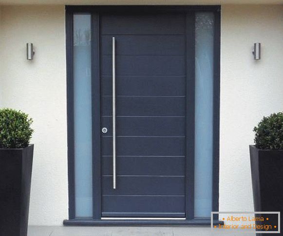 Темно-сині вхідні двері зі сталі