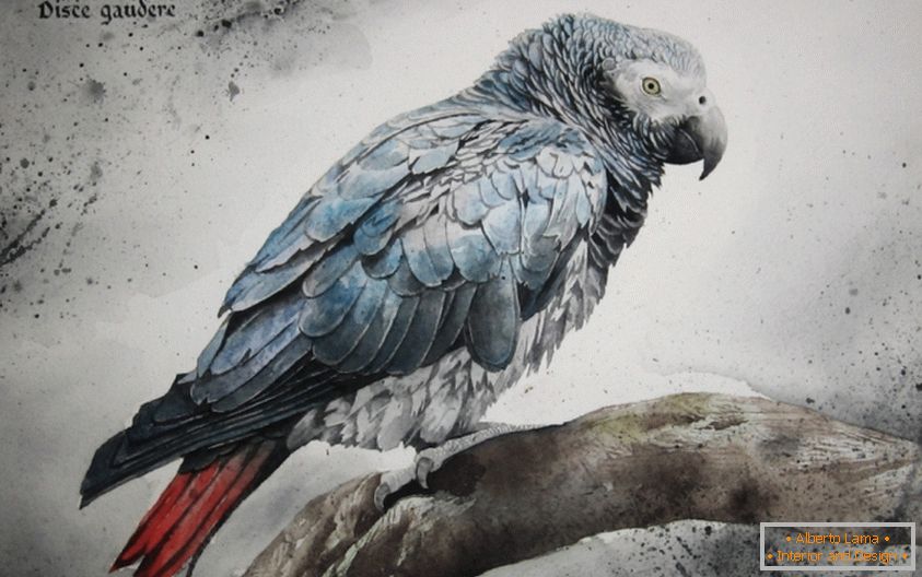 Картина зображення папуги