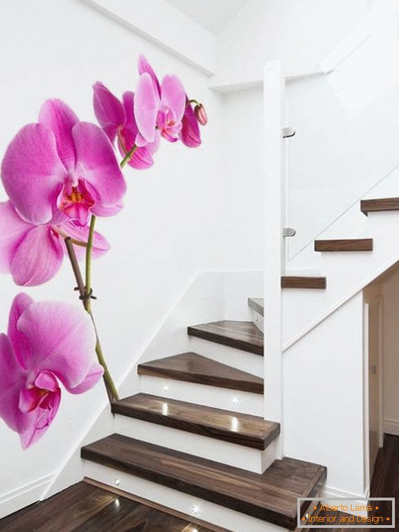 Фотошпалери орхідеї на сходах
