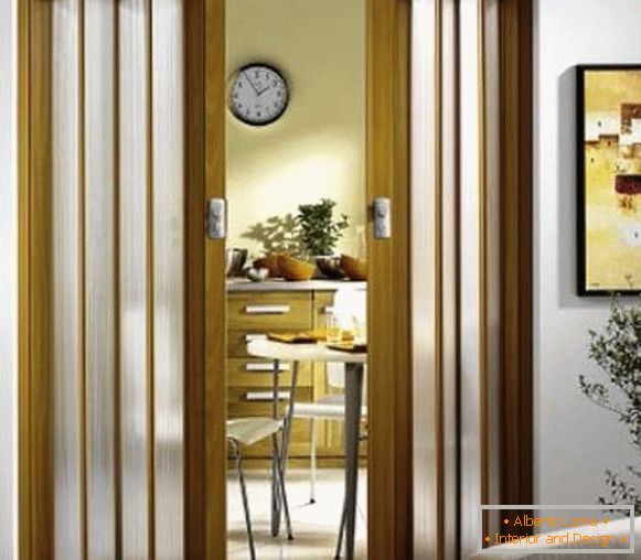 Двері гармошка на кухню - фото міжкімнатних дверей
