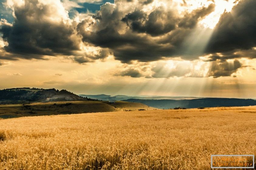 Сонце пробивається крізь хмари, над пшеничним полем