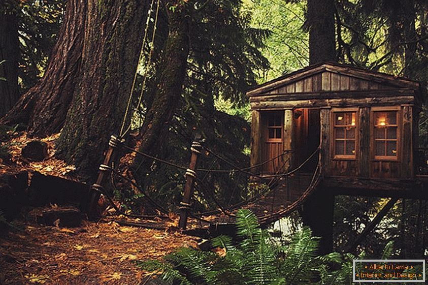 Treehouse in Seattle (Сіетл, США)