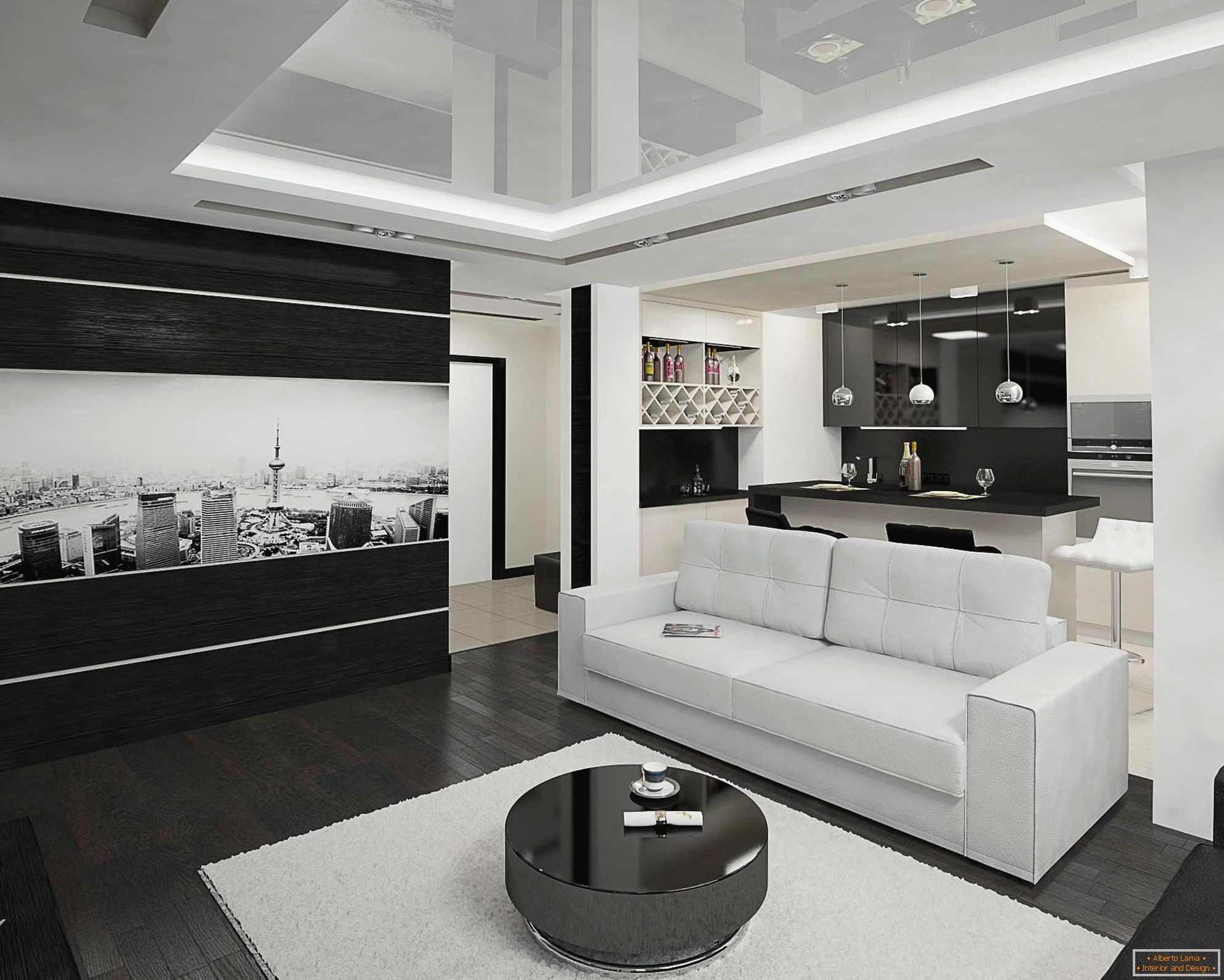 Чорно-білий інтер'єр кухні і вітальні на 20 квадратних метрах