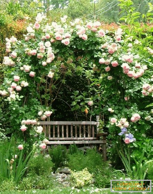 Затишне місце для відпочинку в саду