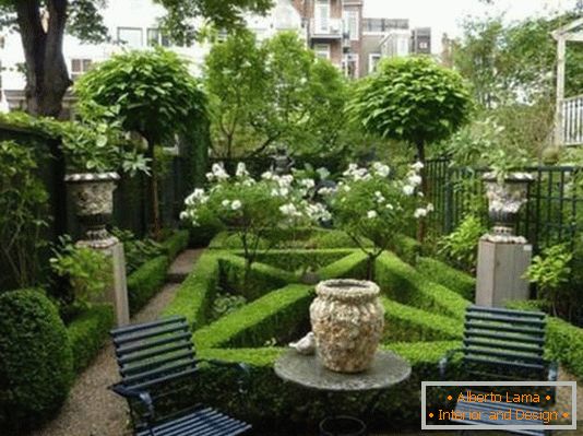 Маленький дворик з неймовірним садом