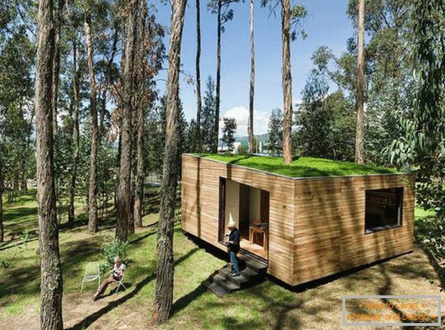 Маленький будиночок в лісі з моховий дахом