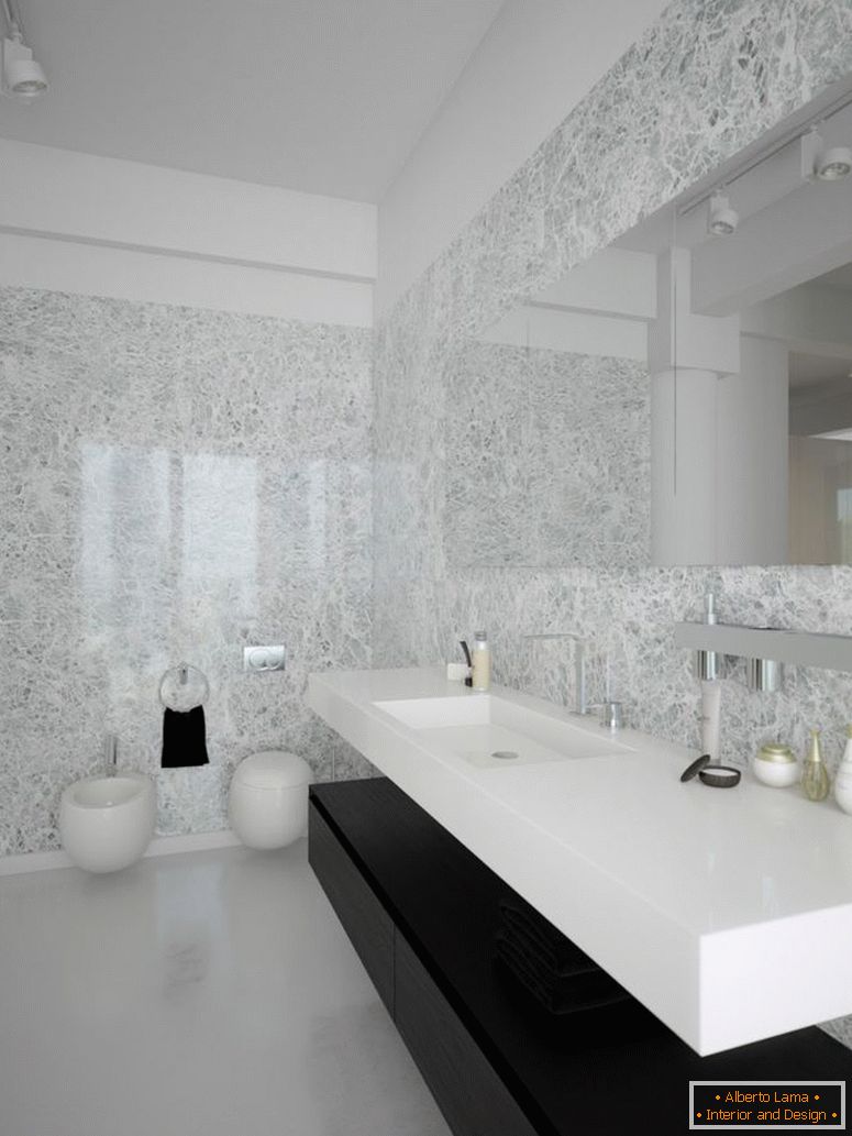 black-white-contemporary-ваннаroom-design