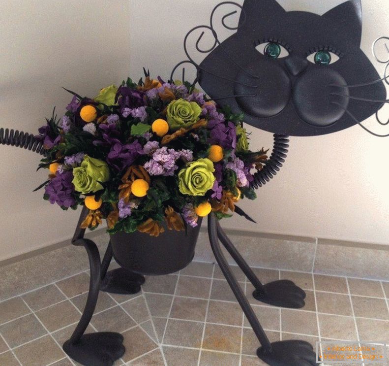 Кот для квітів