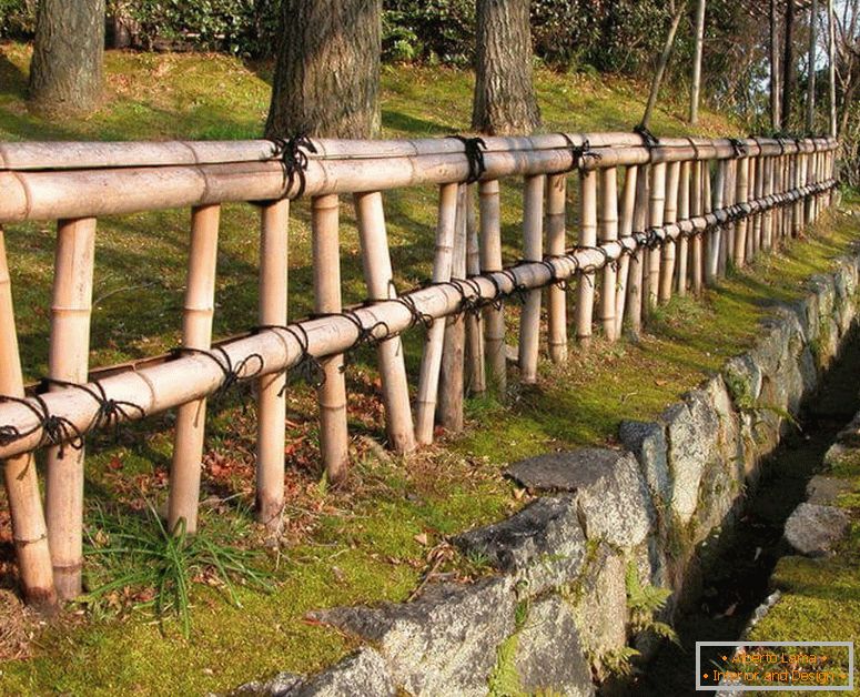 Гарний паркан з бамбука