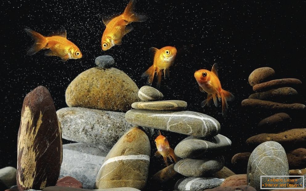 Оформлення акваріума камінням