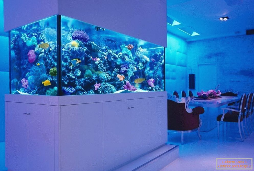 Морський акваріум з використанням живих коралів «Рифа»