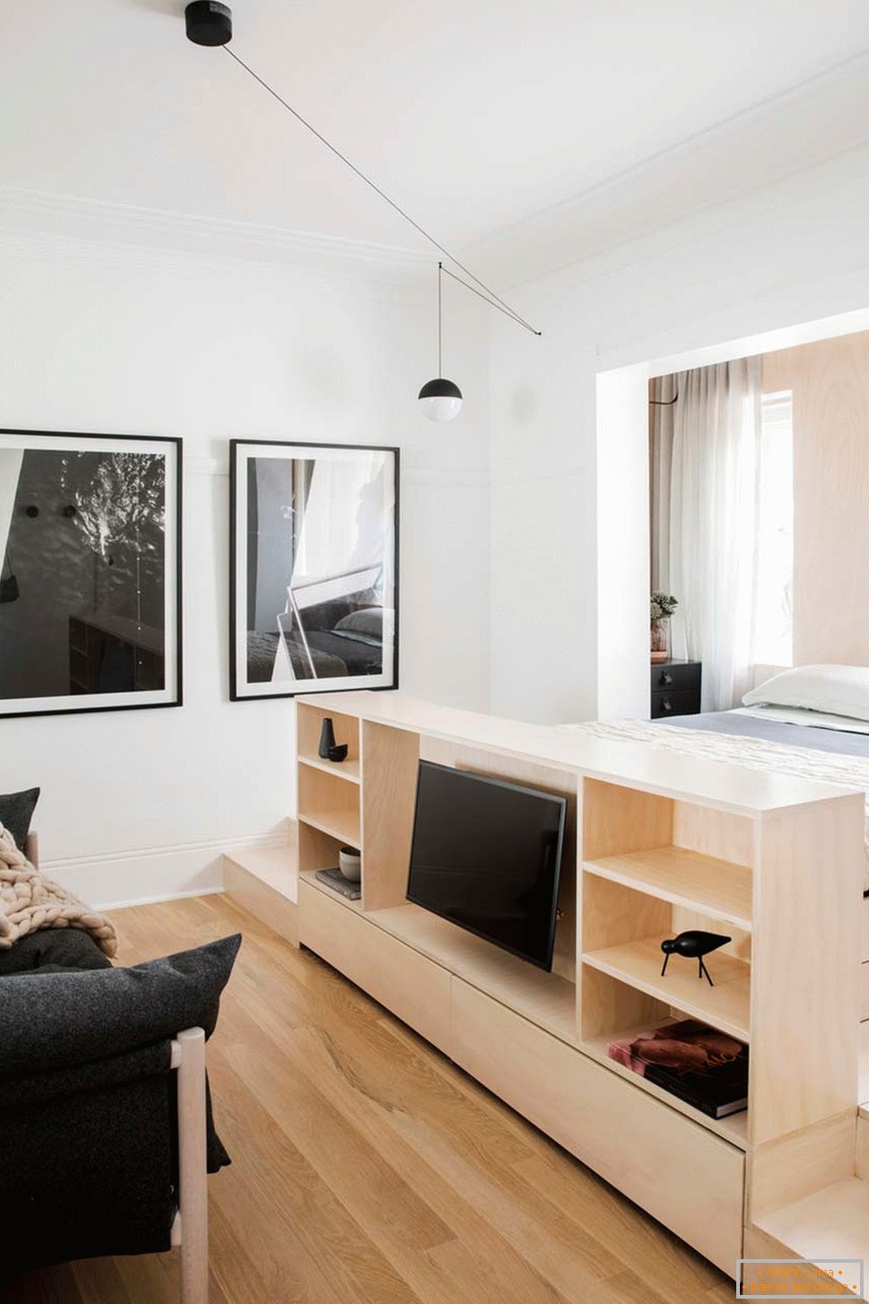 Дизайн інтер'єру маленької квартири в Сіднеї - телевизор