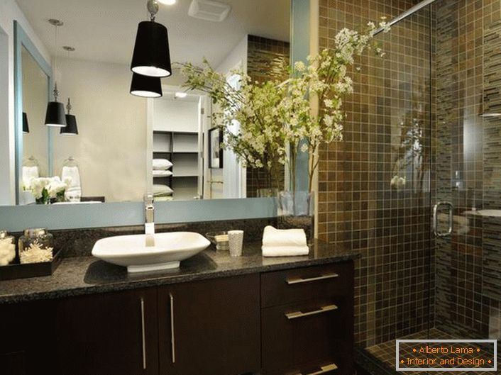 Меблі кольору венге для ванної кімнати в стилі модерн.