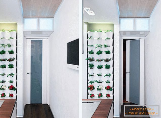 Кімнатні рослини в дизайні кухні