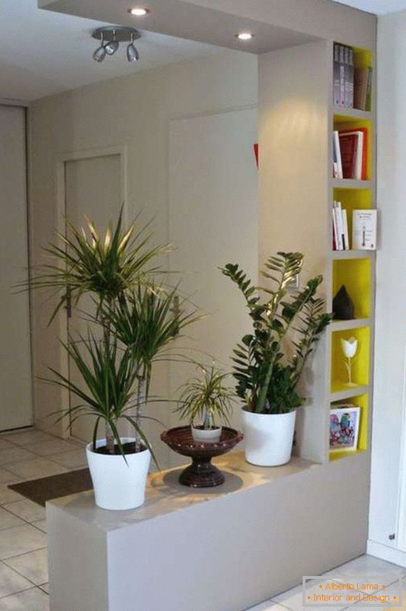оригінальні кімнатні рослини в інтер'єрі прихожей, фото 13
