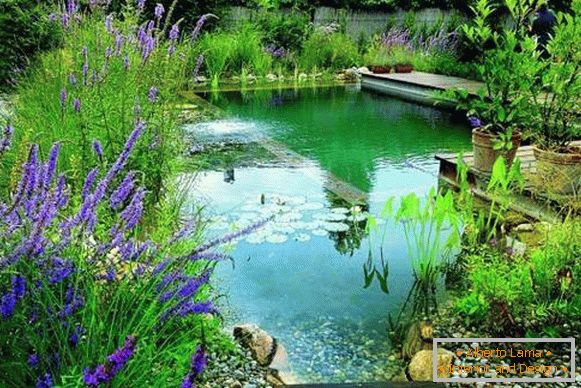 Красиві фото басейнів - ставок для купання у дворі