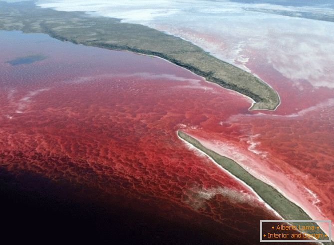 Яскраво-червона вода в озері