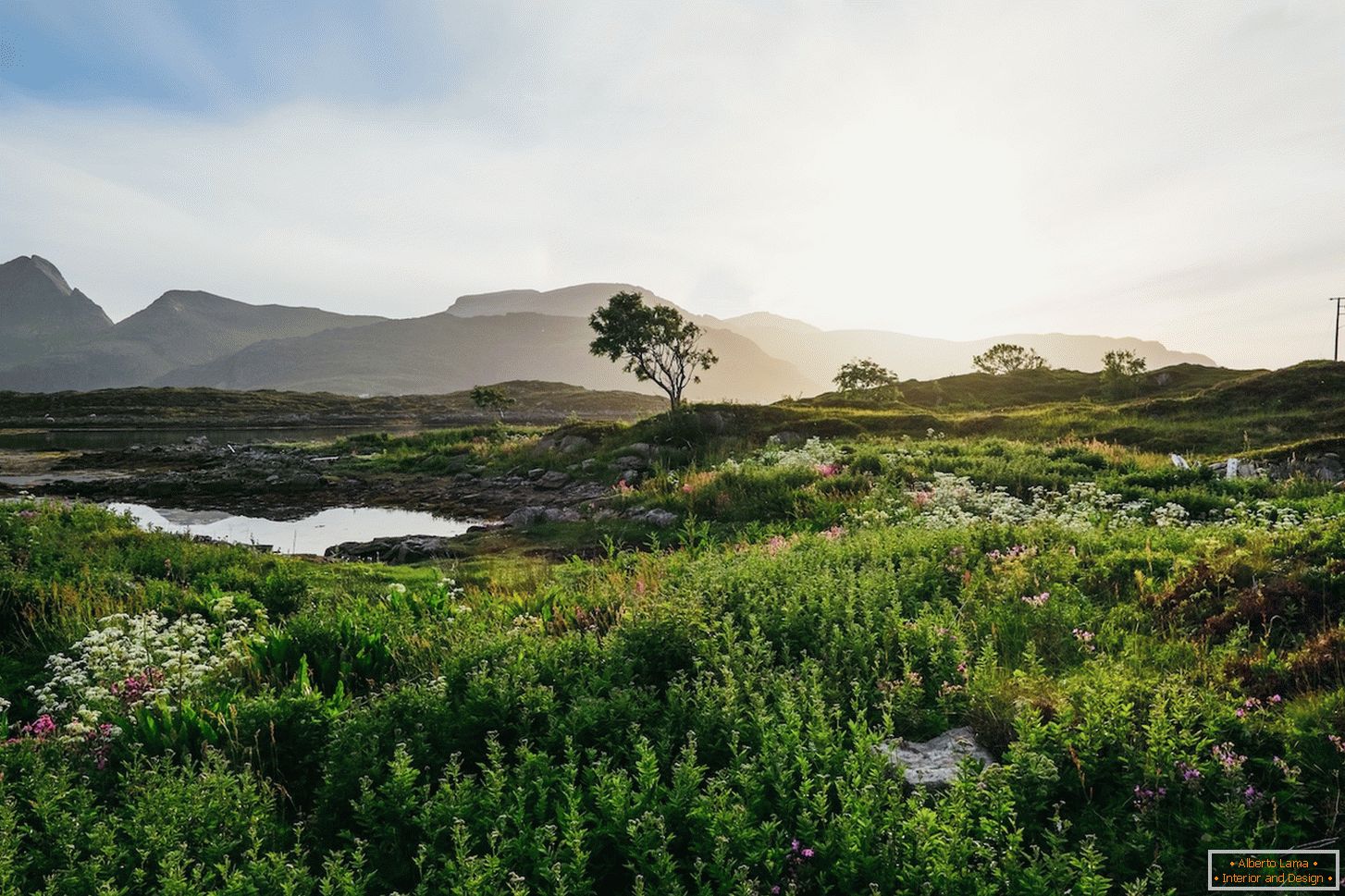 Соковитий пейзаж полів Норвегії