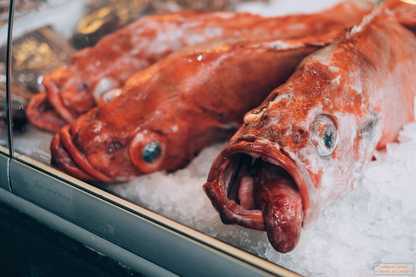 Мороженная рыба на рынке в Даное