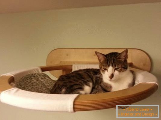 Підвісна полиця в ролі ліжка для кішки