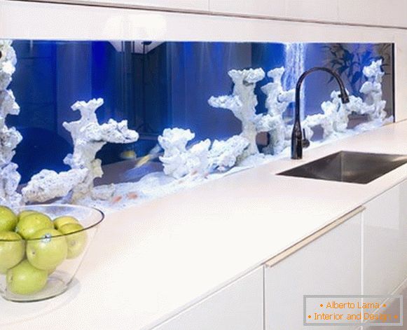 Акваріум з коралами на кухні