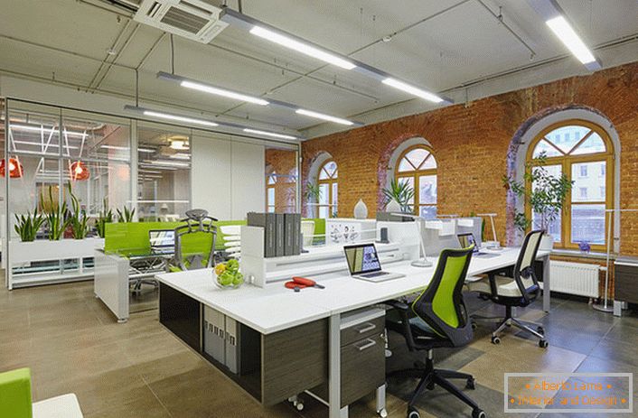 Для оформлення офісу в стилі лофт використано багато живої зелені, що робить приміщення затишним і налаштовує співробітників на робочий лад. 