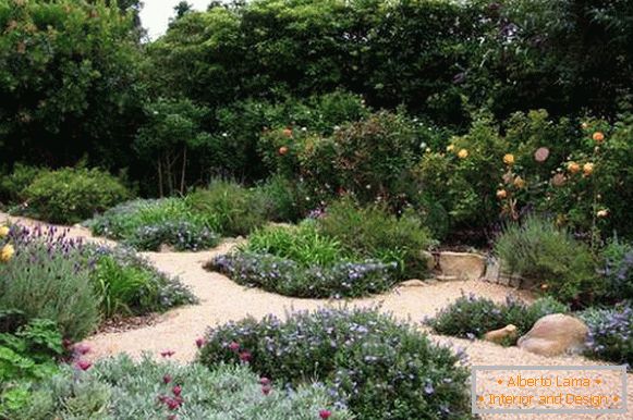 Гарний дизайн саду і городу з доріжками