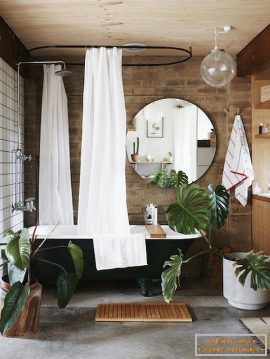 кімнатні растения в ванной