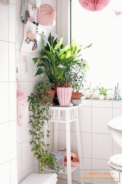 Рослини в кутку ванної