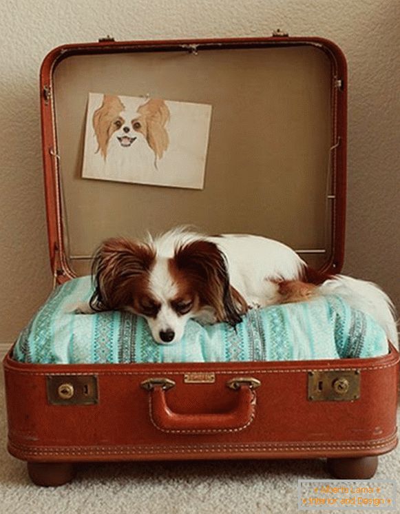 Місце для собаки з валізи