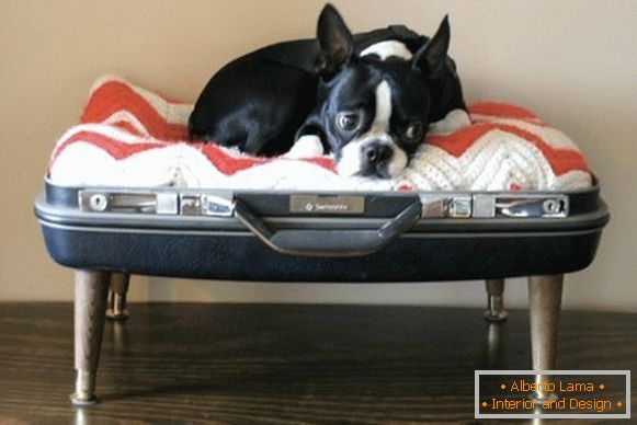 Місце для собаки з валізи