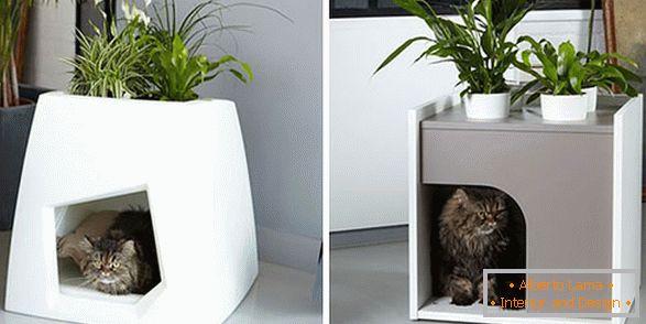 Кошкін будиночок-підставка для кімнатних рослин