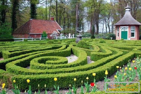 французький стиль в ландшафтному дизайні, фото 2