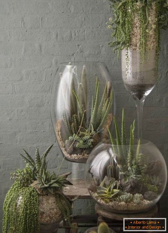 Рослини у великих скляних вазах