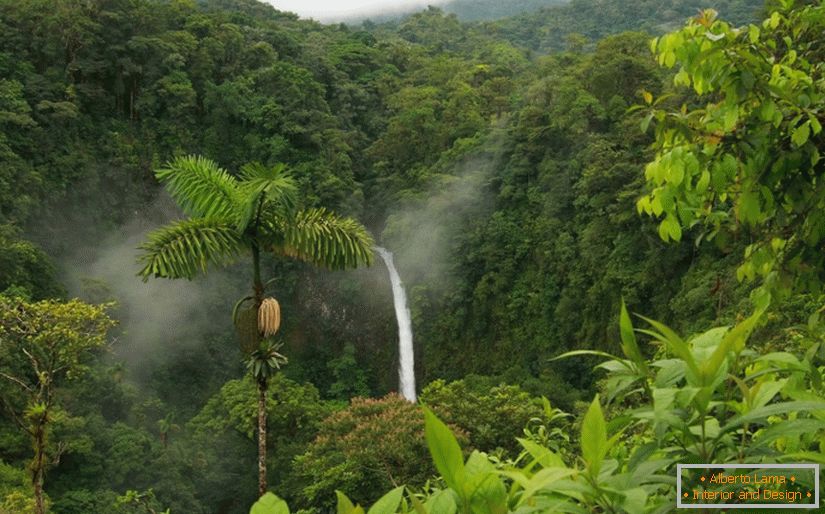 Самостійні тури в Коста-Ріка